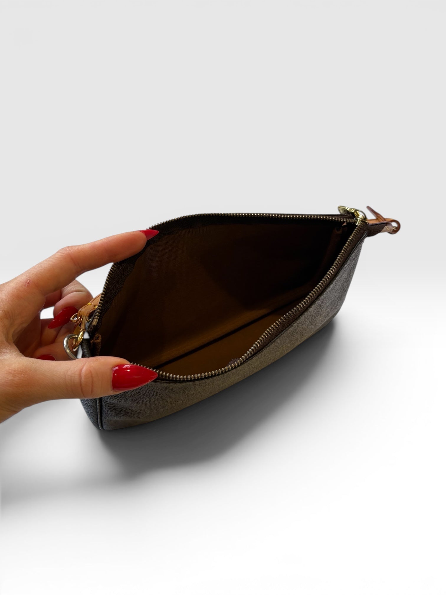 Louis Vuitton Monogram Pochette Accessoires